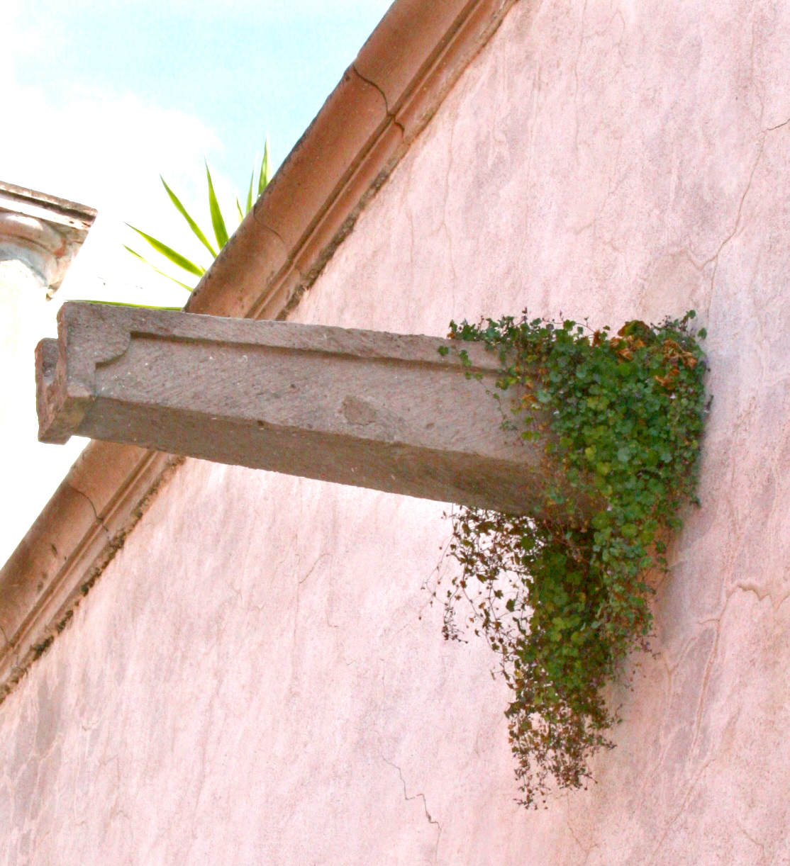 Robin Talks, Cooks and Travels: Canales of San Miguel de Allende