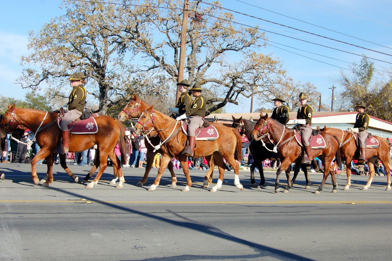 Parsons Mounted Cavalry
