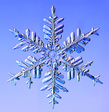 rencontre femme avec numero portable