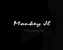 MONKEY JL PHOTOGRAPHY