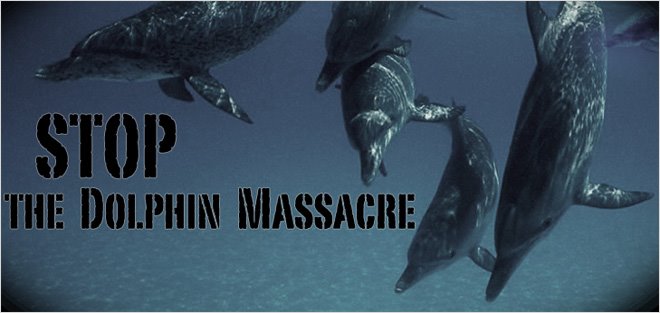 Stop the Dolphin Massacre In Japan