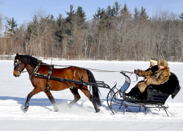 Green Meads Farm One Horse Open Sleigh