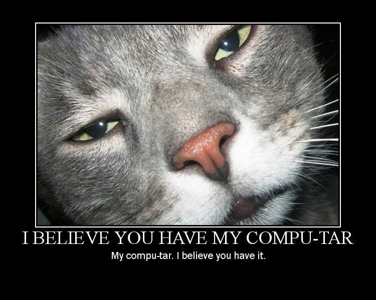 Lol Cats Happy