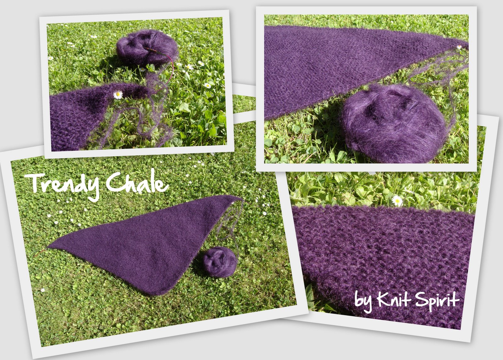 [Trendy_Chale.jpg]