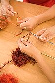 [tricot.JPG]