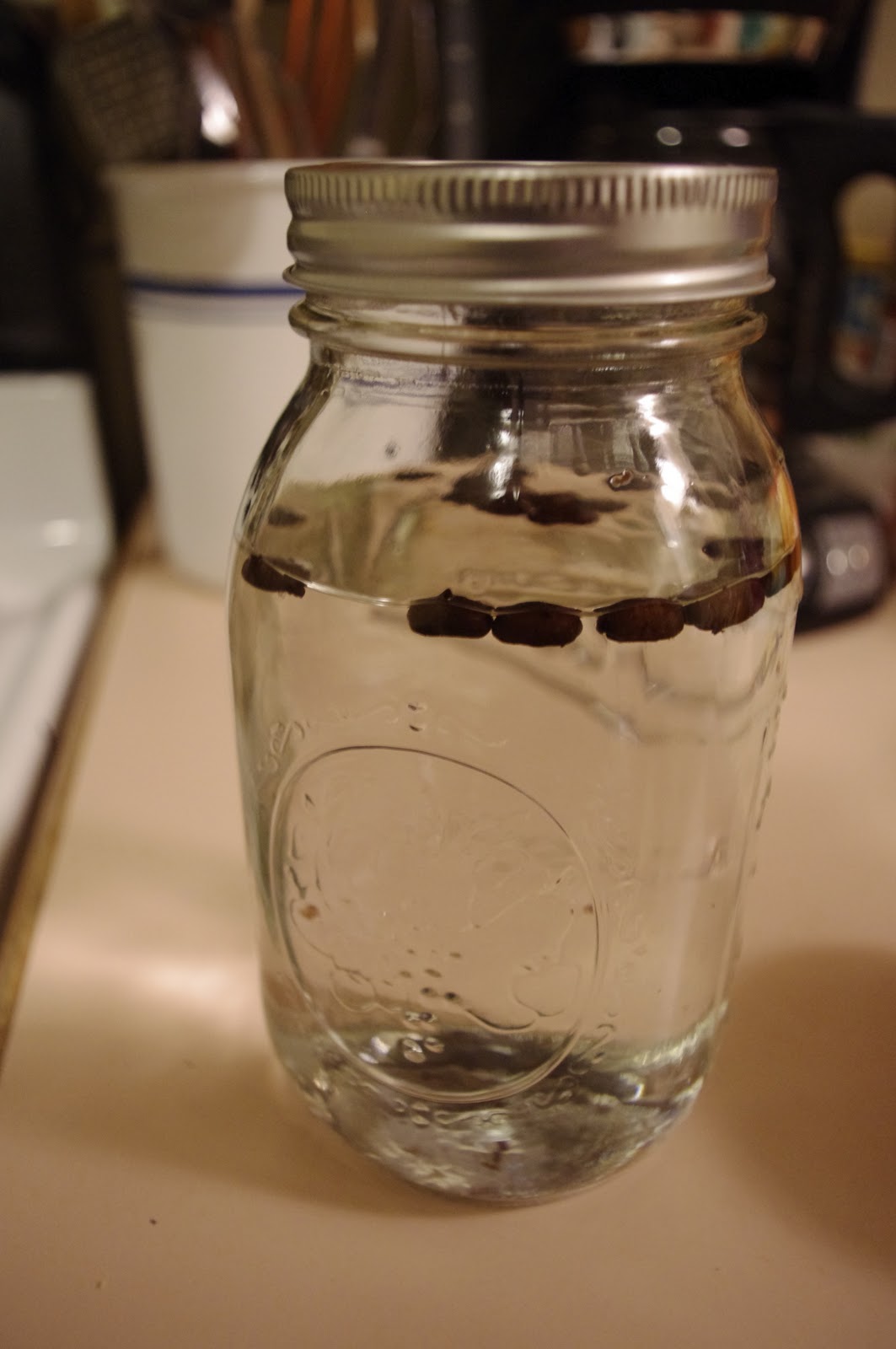 happy hour honeys DIY Espresso Infused Vodka (plus a bonus Espresso Martini recipe)