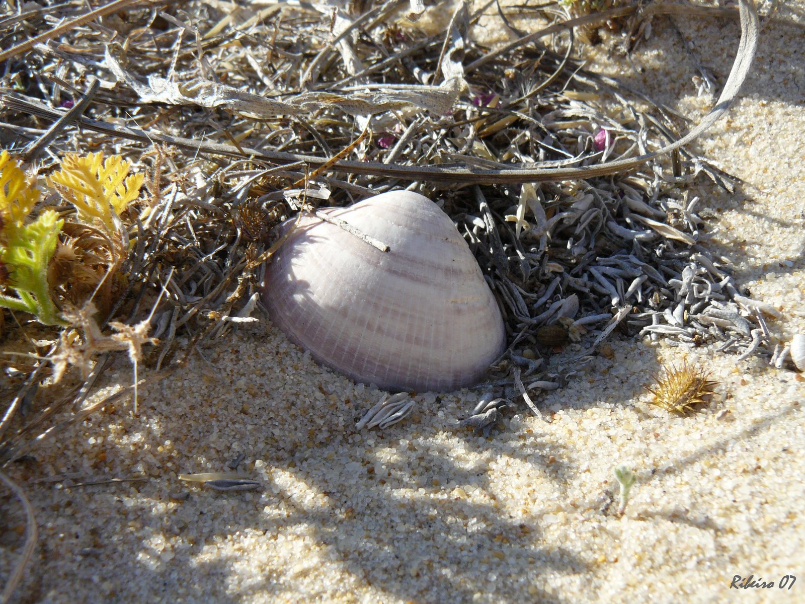 [P1000447.JPG]