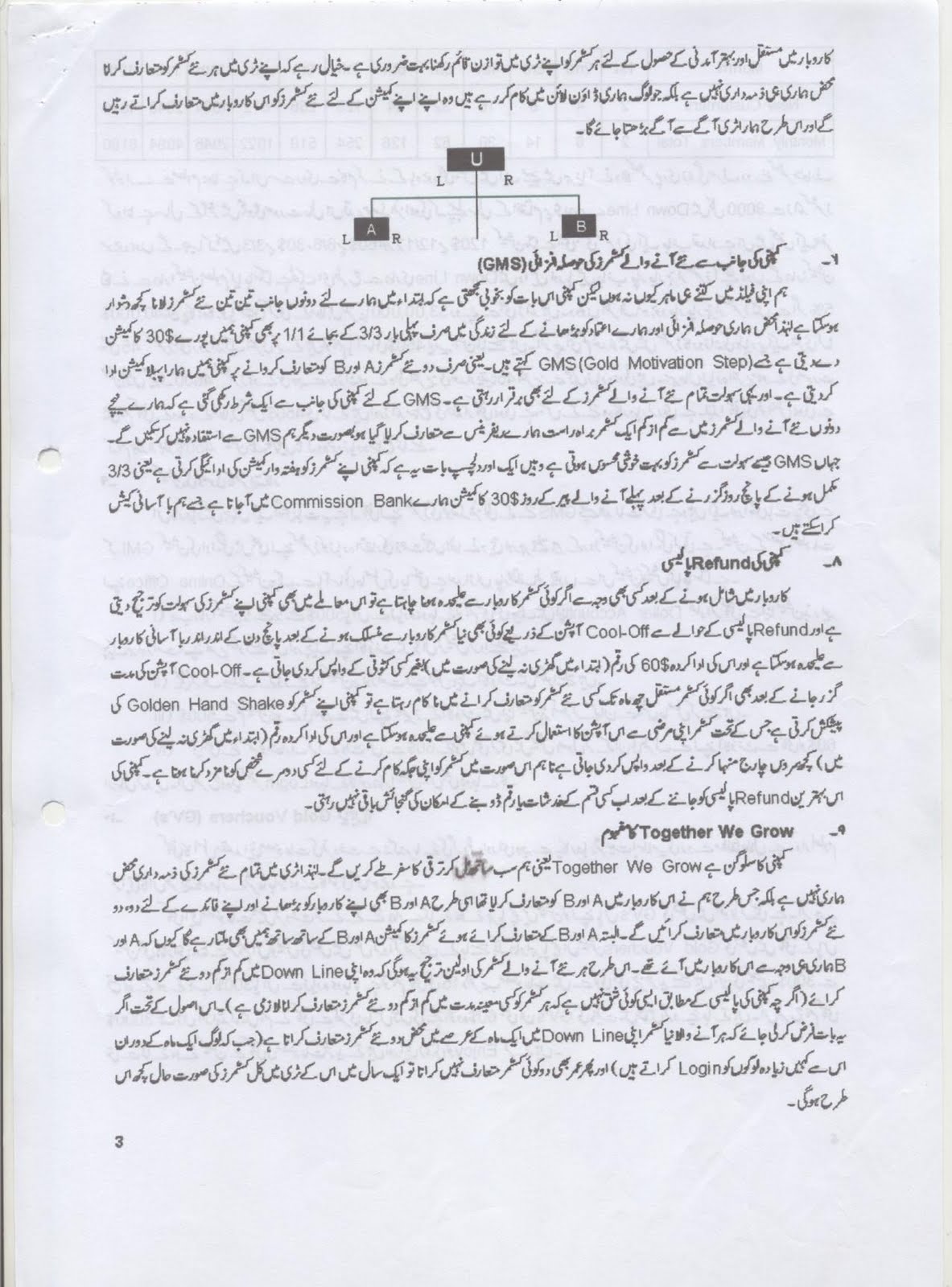 Network Marketing Business Presentation (Urdu)