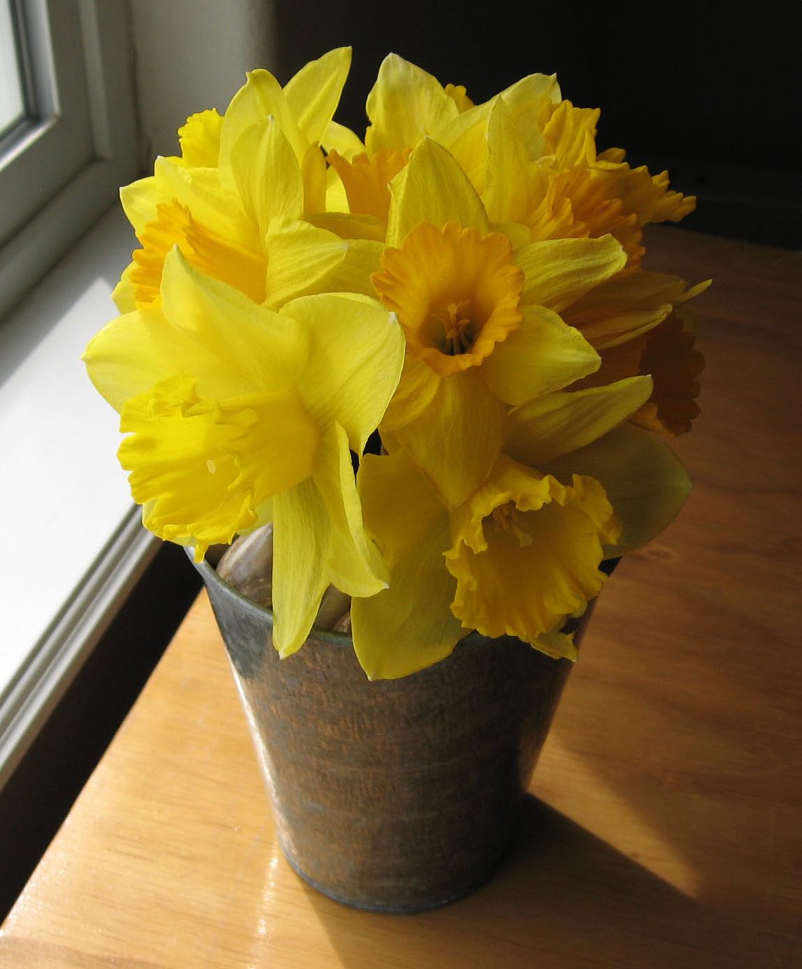 Daffodil Bouquet