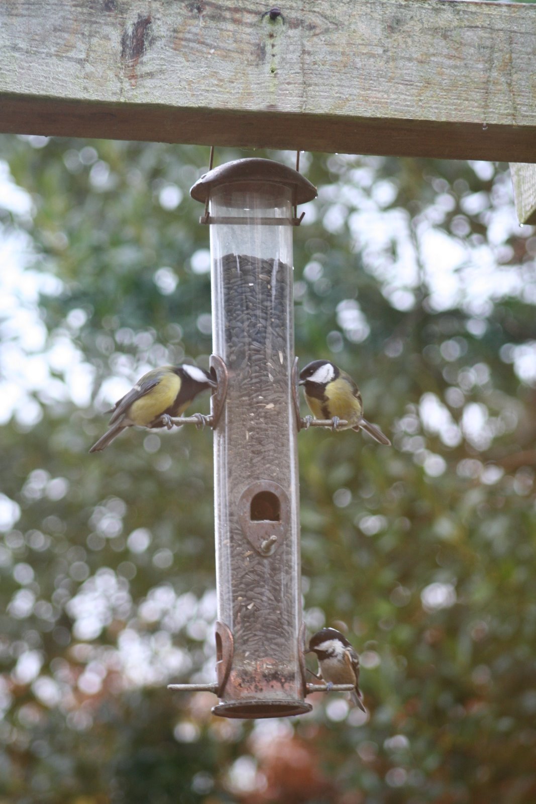 [20071124_999_18.JPG]