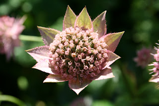 First talk tonight – if I can…