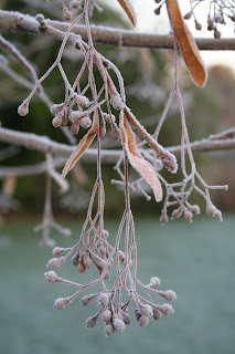 Burst pipes and frozen paint.