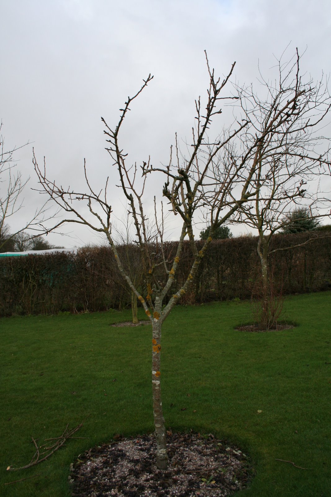 [20071229_999_7.JPG]