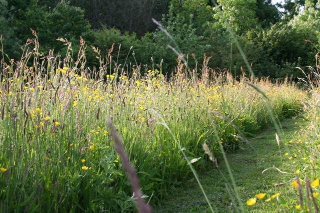 [20070602_999_16a.JPG]