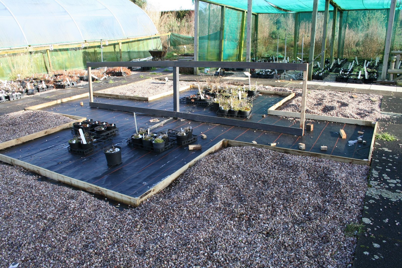 [20080202_999_2.JPG]