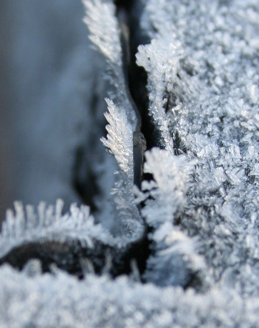 [20080216_999_3a.JPG]