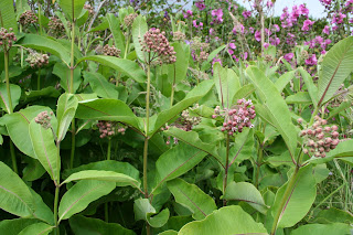 Another identity question….