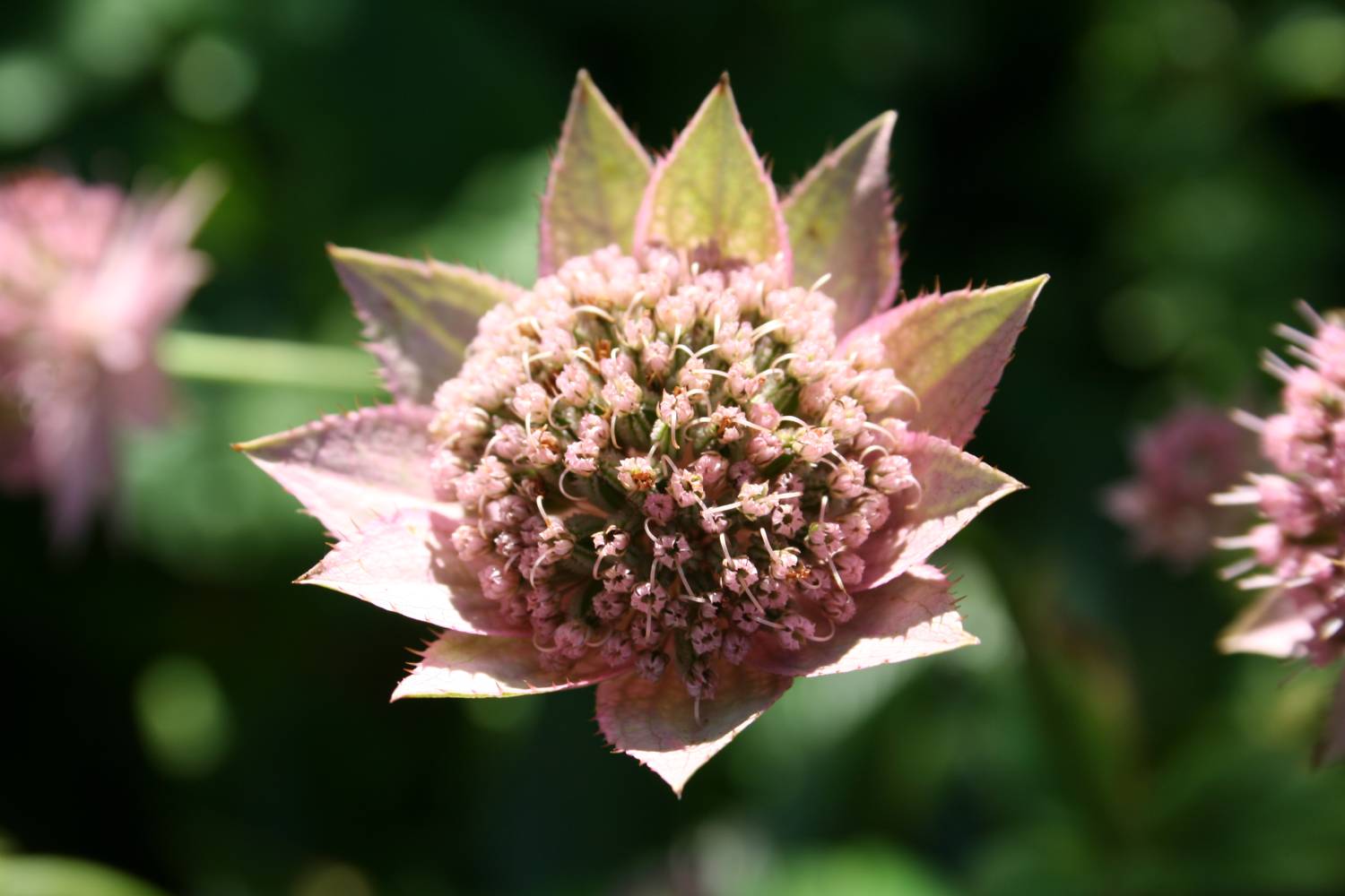 [20070707_999_17s.jpg]