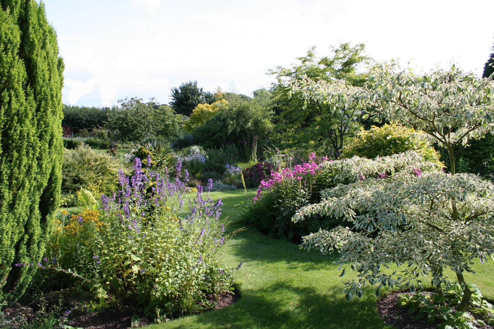 [20070724_999_7a.jpg]