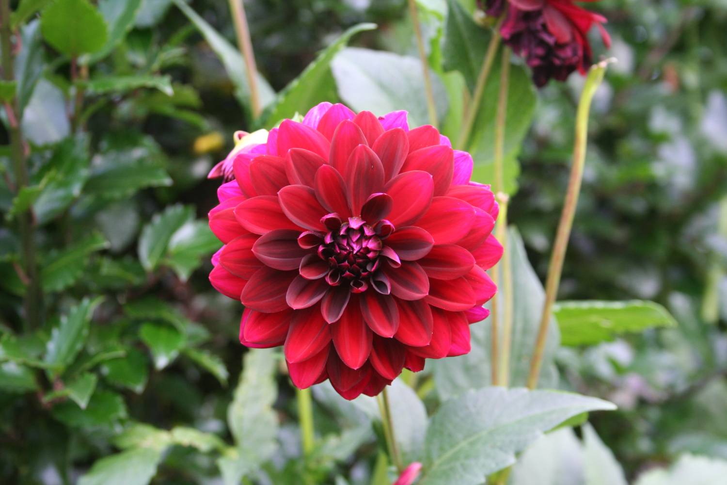 [20070805_999_12.JPG]