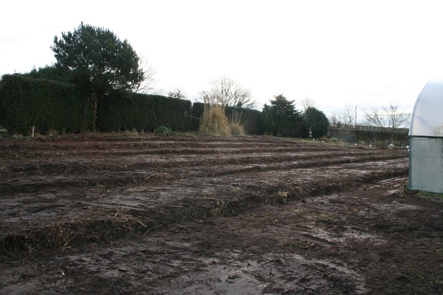 [stock_beds_after_s.jpg]