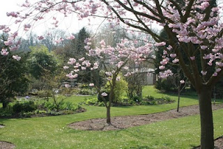 Cakemakers for charity?….