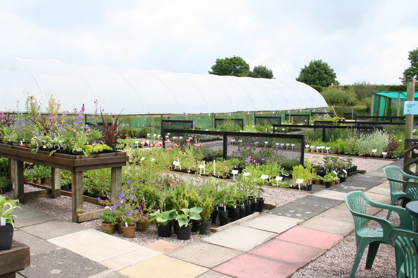 [20080607_999_11.JPG]