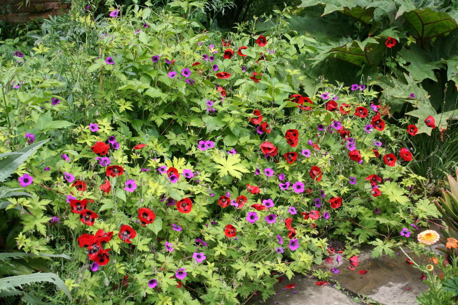 [20080612_999_32.JPG]