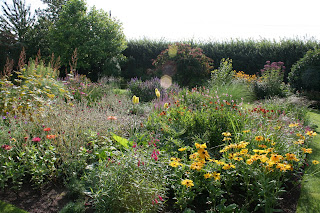 While waiting for chickens….