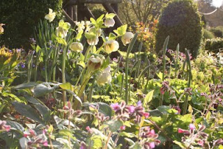 Easter sunshine – and a free bath…