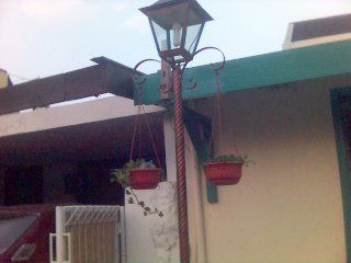 [Lamp+and+plant.jpg]