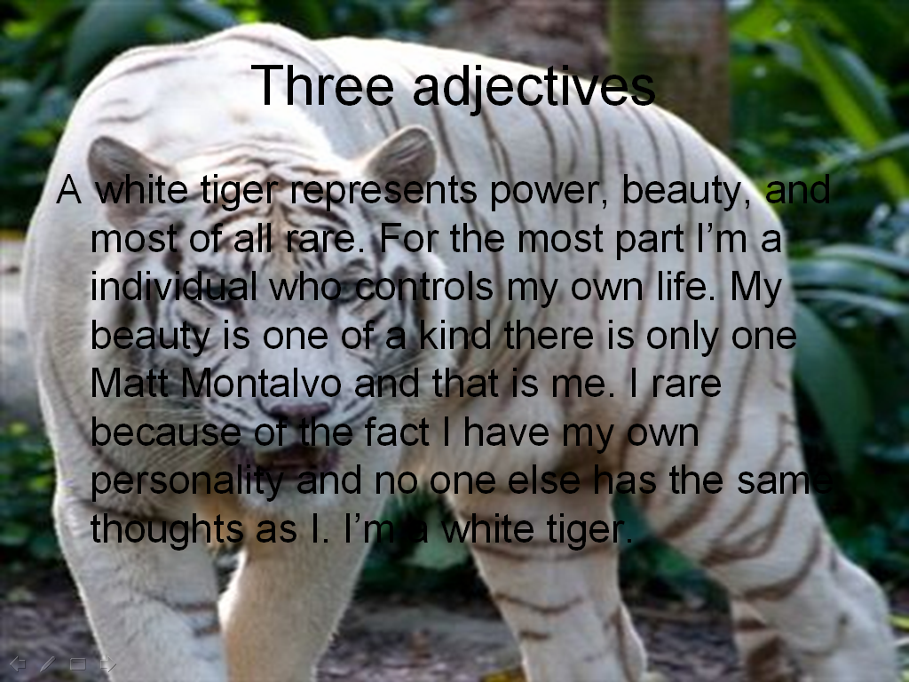 [tiger2.PNG]