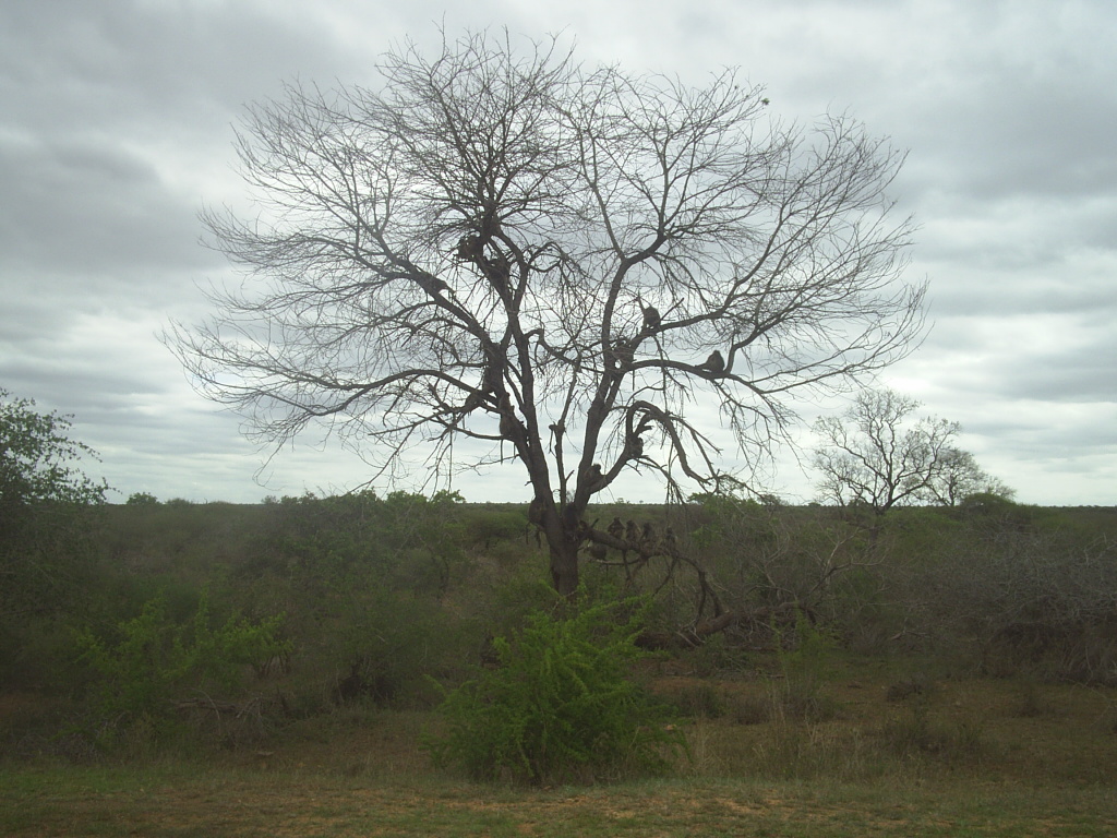 [S4010154.JPG]