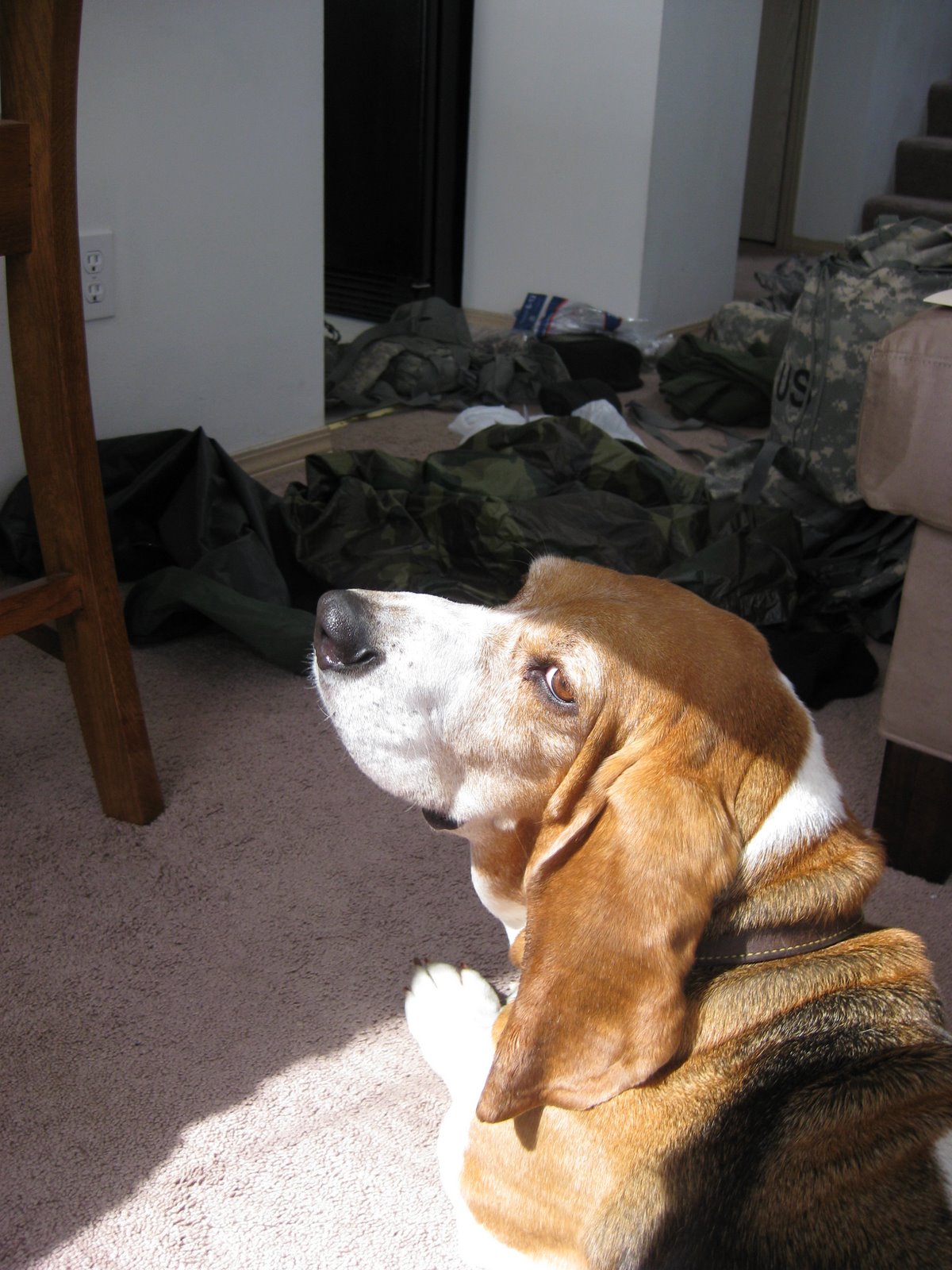 [Deployment+3+021.JPG]