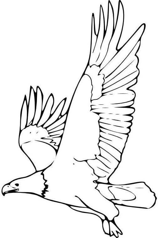 Simple Pencil Drawings Of Flying Birds