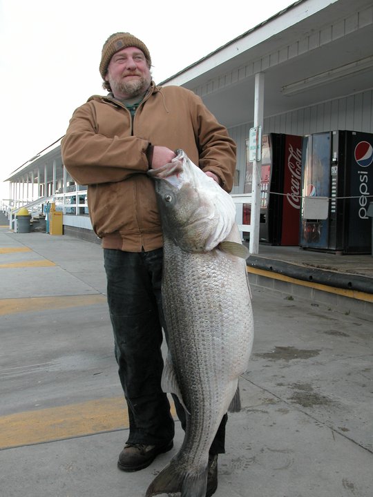 Jim Baugh Outdoors TV Two NC State record Rockfish broken in 48 hours