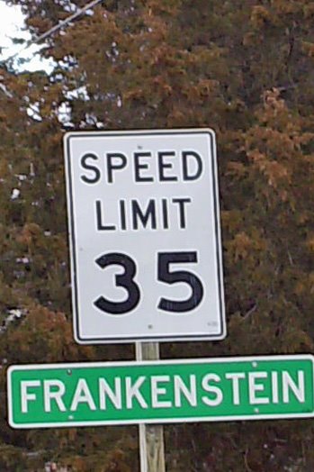 [frankenstein.jpg]