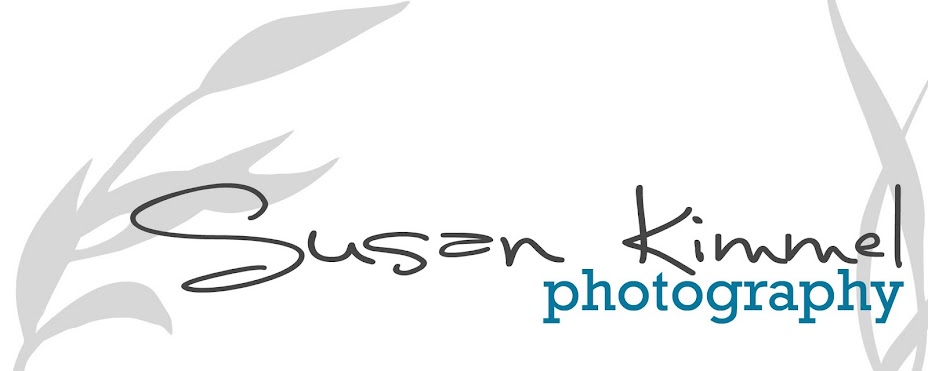 Susan Kimmel Photography
