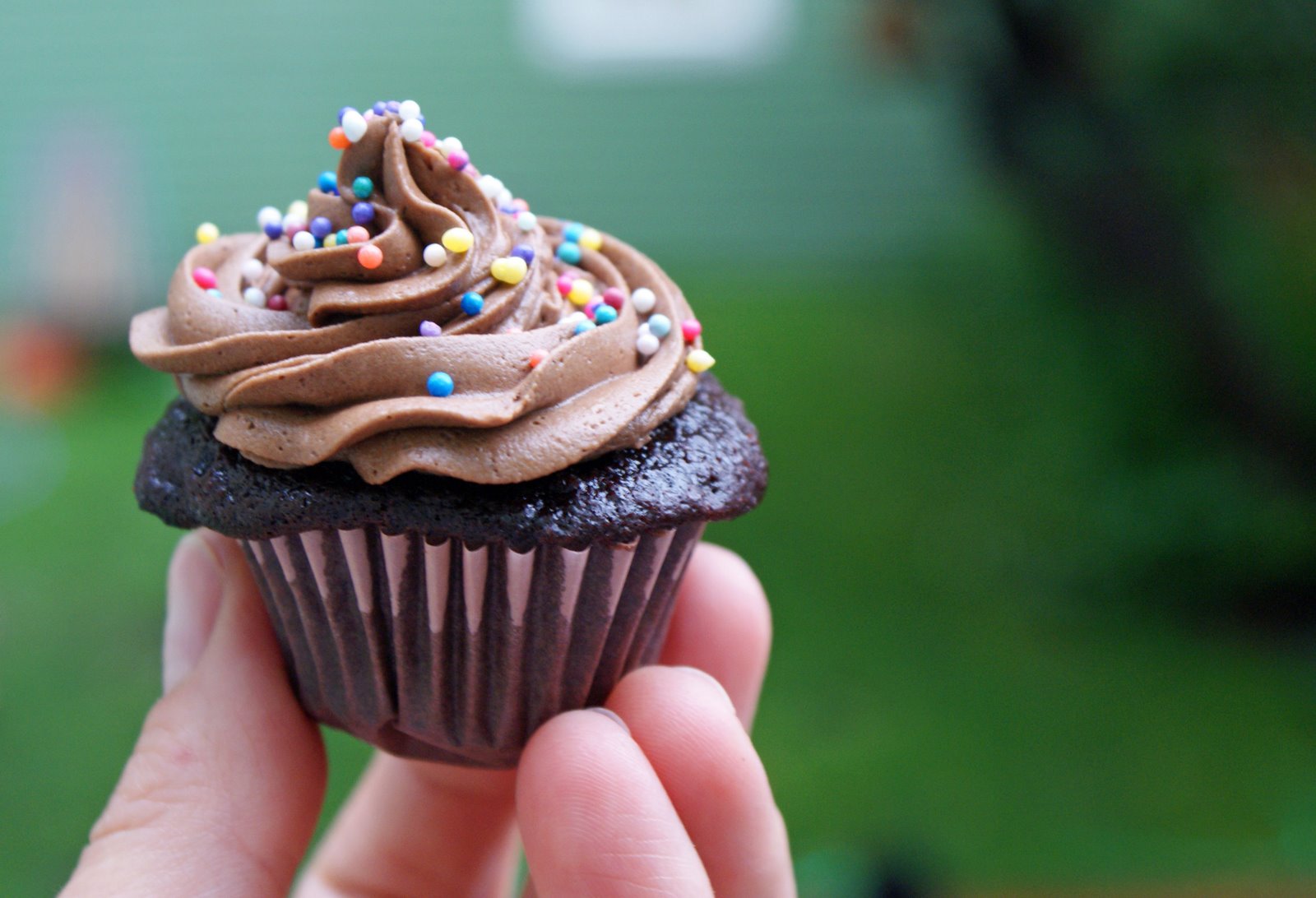 [Chocolate+Cupcake+w+Sprinkles.jpg]