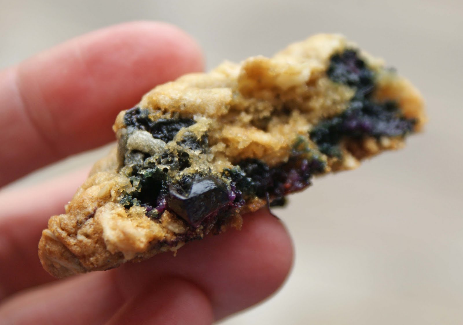 Blueberry Cookies