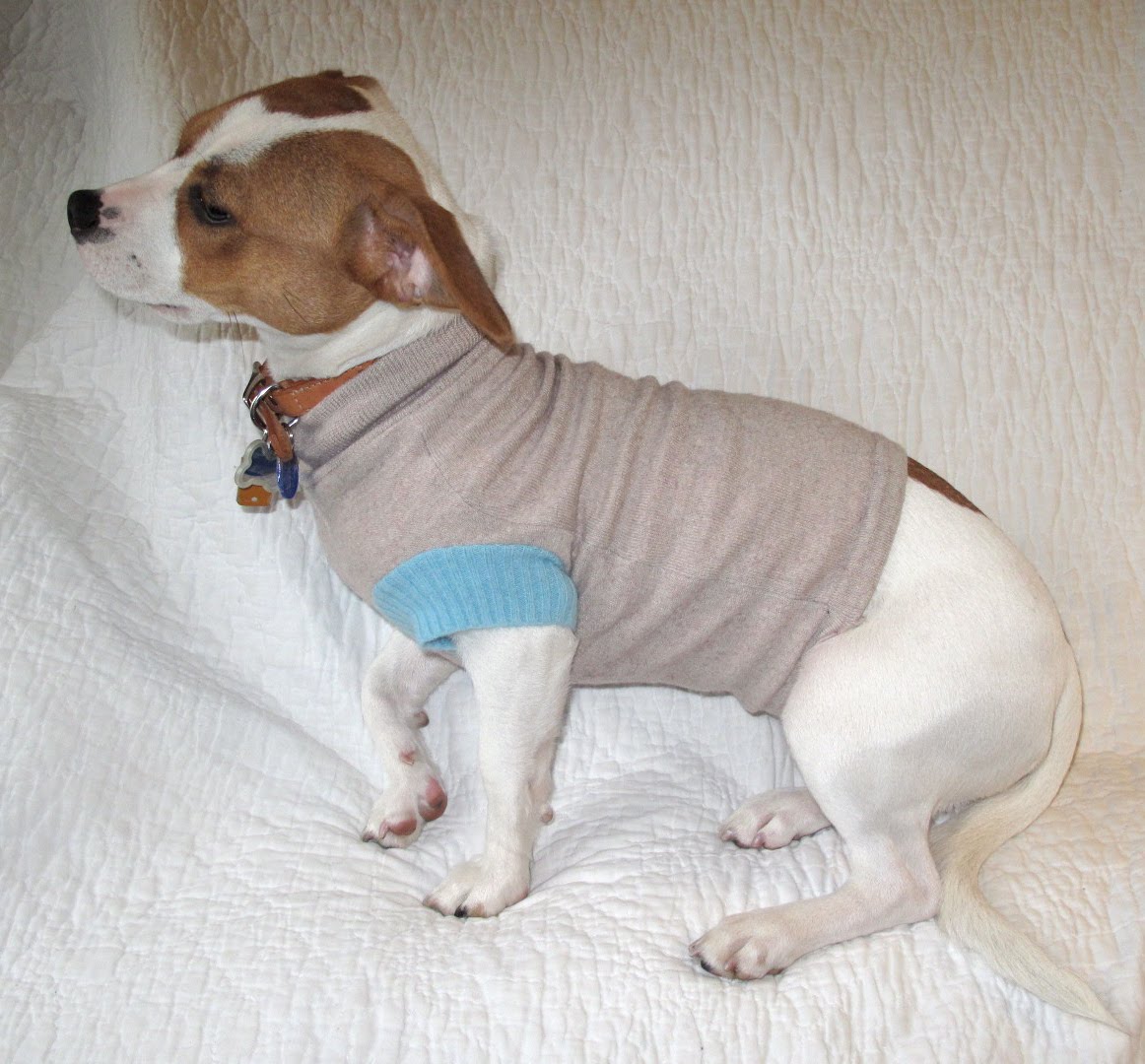 Resweater Tutorial Tuesday easy dog sweater