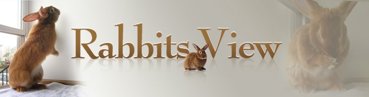 Rabbits View
