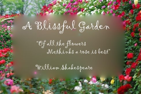 Garden Bliss