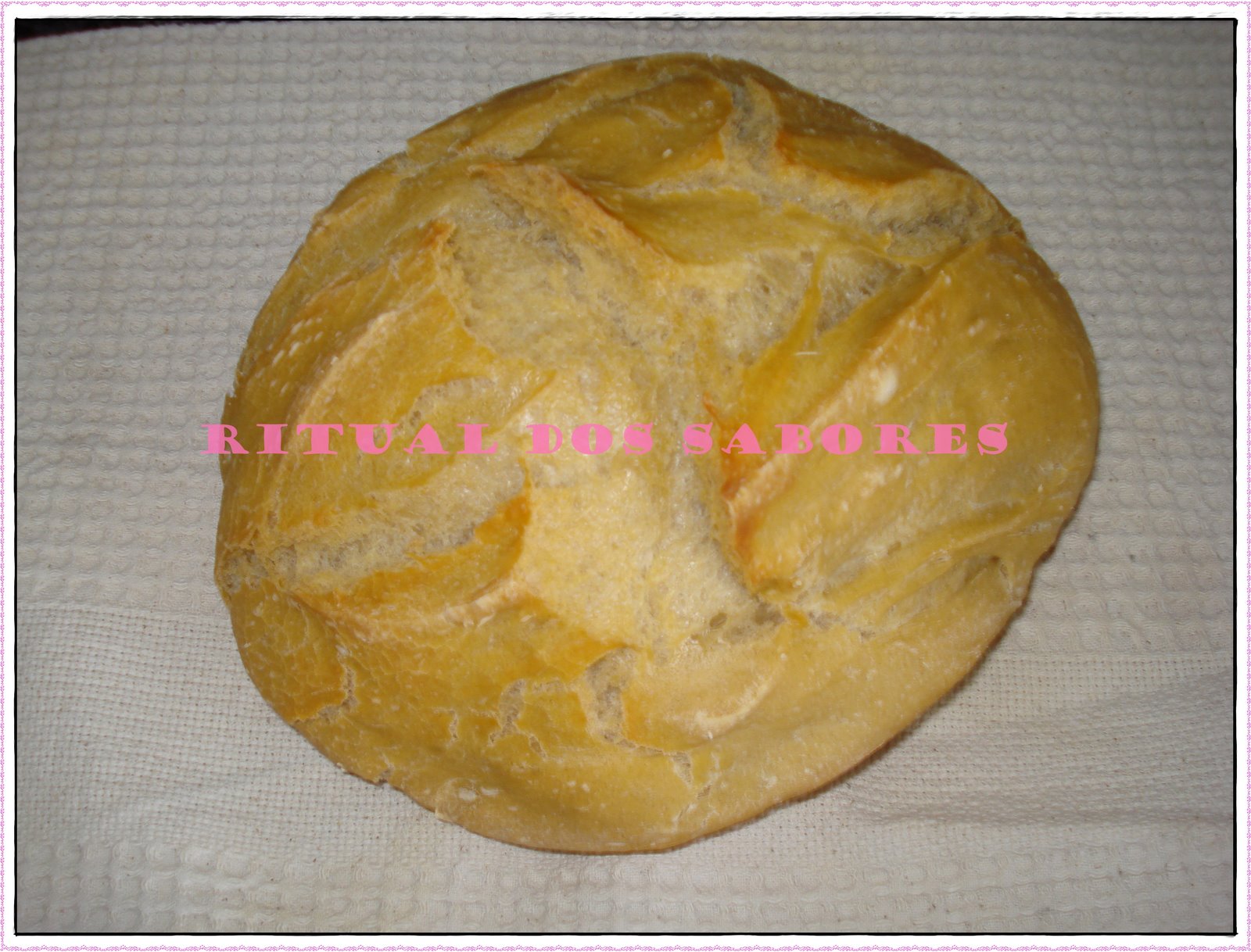 [DSC01842.JPG]
