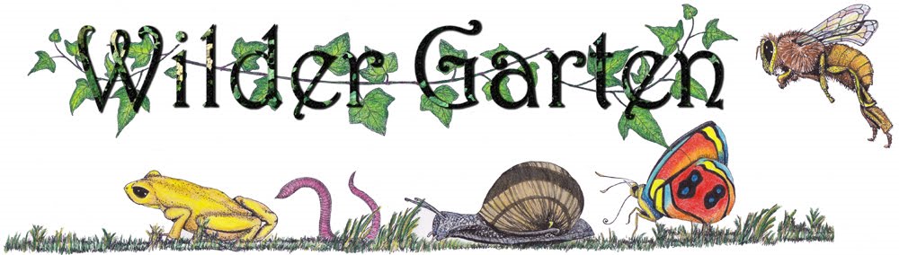 Wilder Garten
