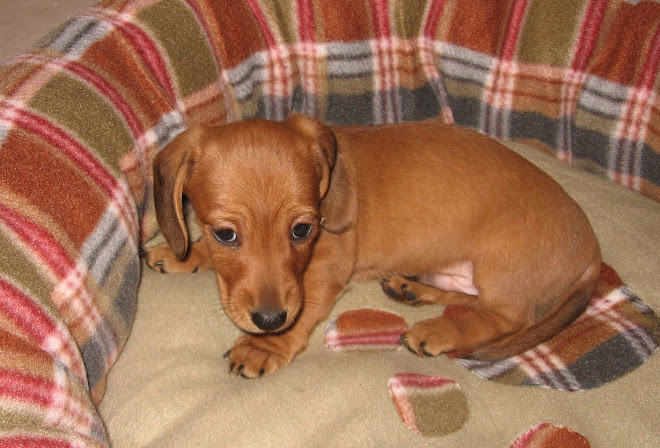 Baby Rusty