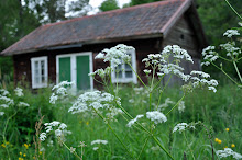 Min bilder