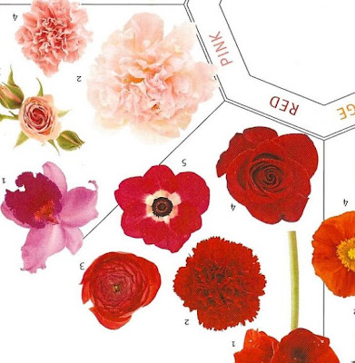 flower guide