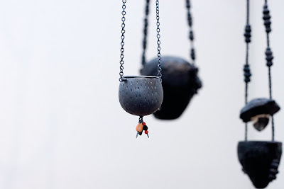 BLACK is BEAUTIFUL - Karla WAY dans Australie (AU) _MG_0057