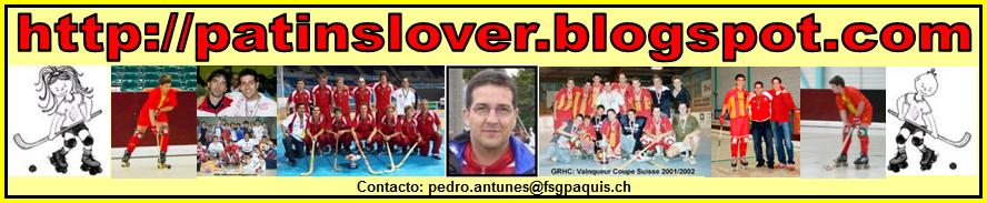 (Blog de Pedro Antunes - Hockey & Divers - LINK)